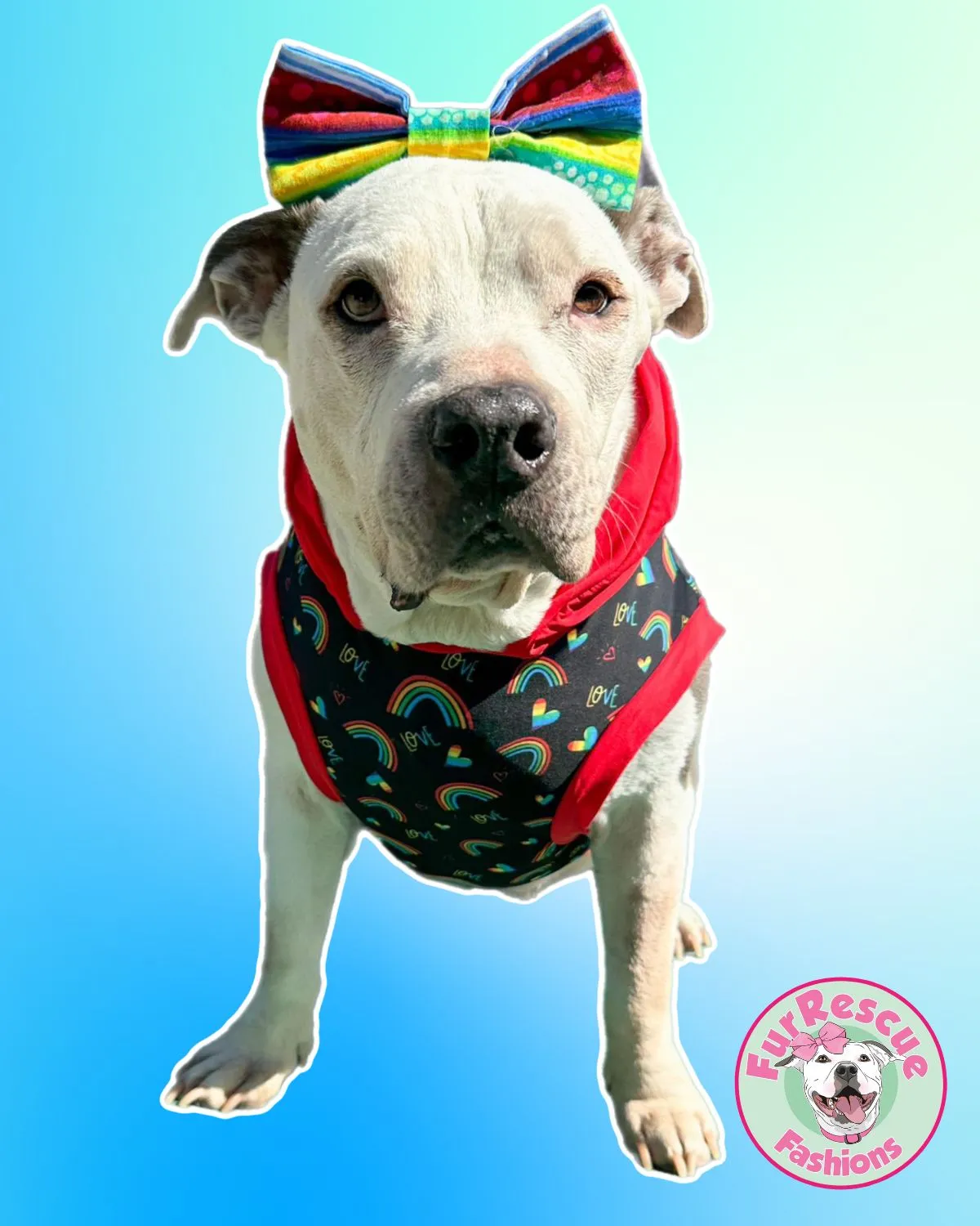All You Need Is Love - PAWjama with Red Trim