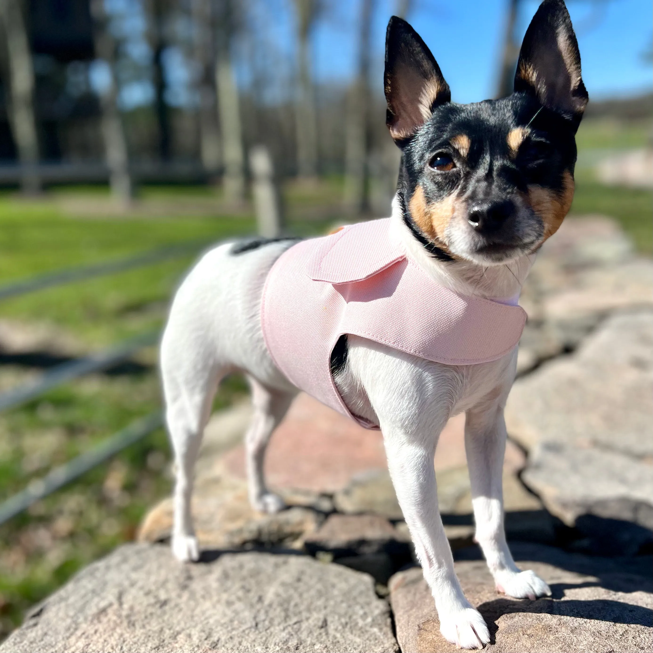 DCNY Blush Pink Harness Vest