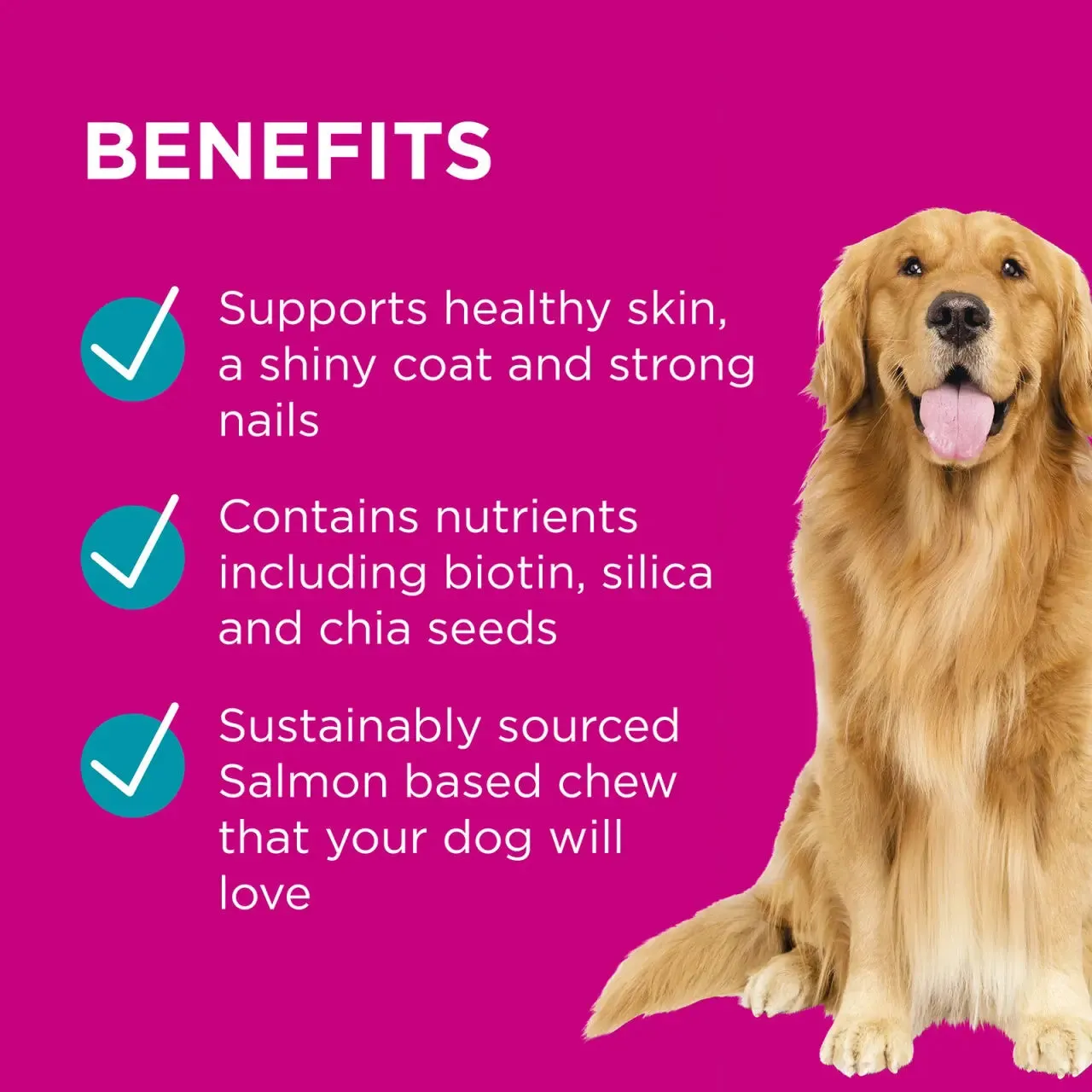 PAW - Coat, Skin and Nails Chew for Dogs 300g - 60 chews