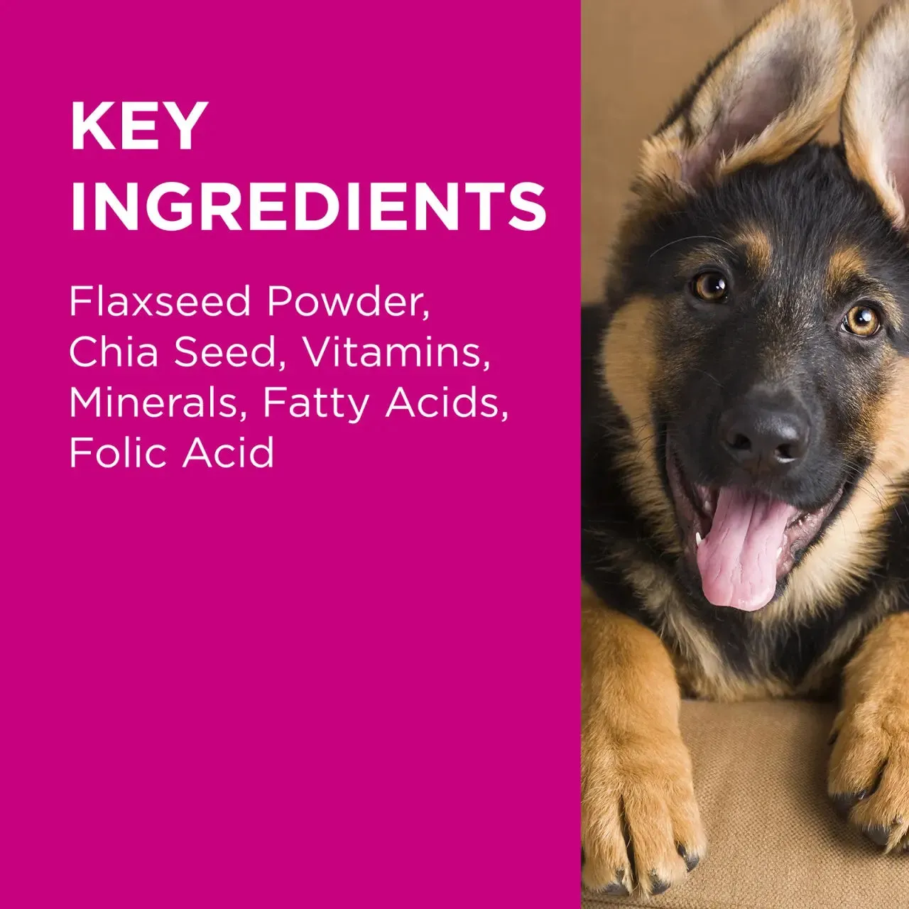 PAW - Coat, Skin and Nails Chew for Dogs 300g - 60 chews